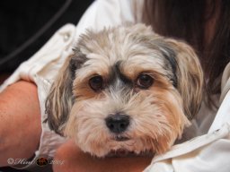 Jo Star im GH Timo am 21.02.2025